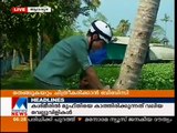 BBC Team in Alappuzha for shooting Coconut tree climbing videos _ Manorama News-32gG