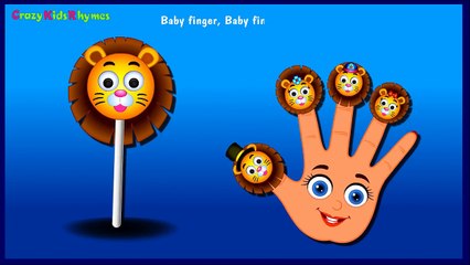 LION Finger Family Nursery Rhyme | Lion Animal Finger Family Lollipop Kids Rhymes