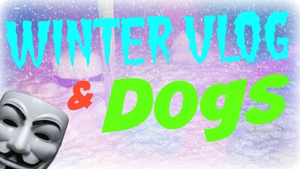 Winter Vlog + MEET MY DOGS!