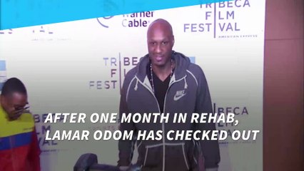 Lamar Odom released from rehab after one month
