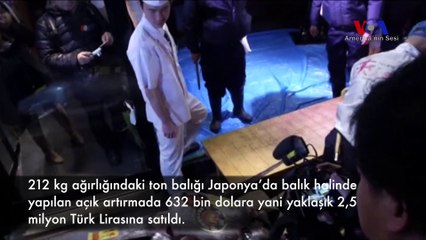 Dev Balık 632 Bin Dolara Satıldı