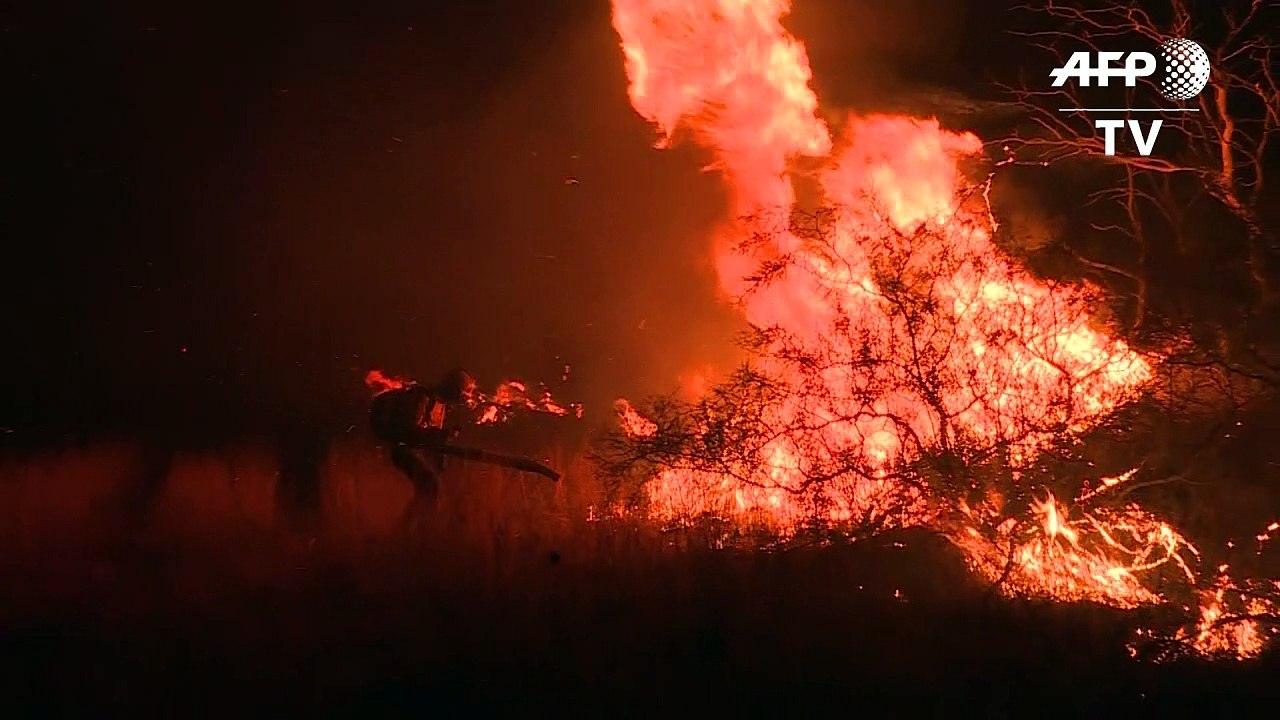 Incêndios devastam Pampas Argentinos