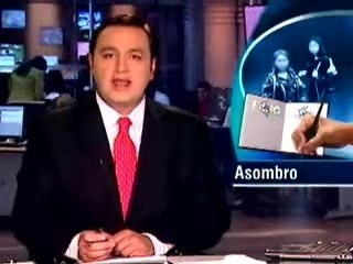 Tanja Nijmeijer, "Eillen", guerrillera holandesa de las FARC