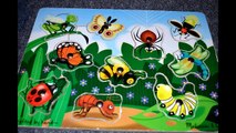 Lets Learn Bugs and Insects with Puzzle-Preschool Learning-Kids Z Fun (1)