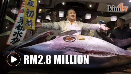 Japan’s ‘King of Tuna’ pays RM2.8mil to retain crown