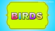 Birds Rhymes in English | Bird Names for Children