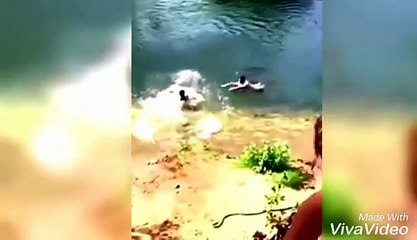 New funny vedio best funny 2017- ウェブ全体から検索  funny vedeo  - ニュースから検索