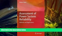 Read  Assessment of Power System Reliability: Methods and Applications  Ebook READ Ebook