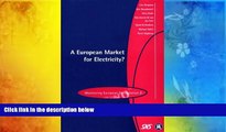Read  A European Market for Electricity?: Monitoring European Deregulation 2 (Monitoring European