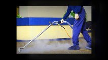 Deep Carpet Cleaning in Pearland, TX - Benefits Of Hiring A Carpet Cleaning Professional