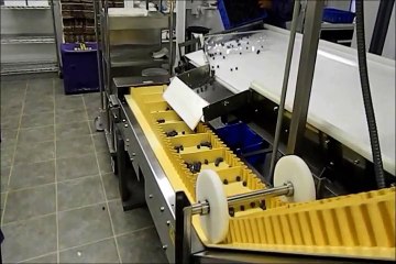 Packaging Blueberries small farm