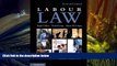 PDF [DOWNLOAD] Labour Law (Law in Context) [DOWNLOAD] ONLINE