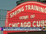 Cubs Spring Training tickets go on sale Friday...with a catch