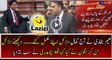 Naeem Bukhari Completed the Arguments on Panama Leaks in Supreme Court
