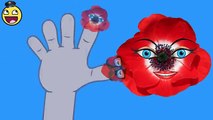 Crazy Videos | Crazy Finger Family Poppy | Daddy Finger Nursery Rhymes