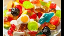What is kosher gelatin and is it halal or Haram