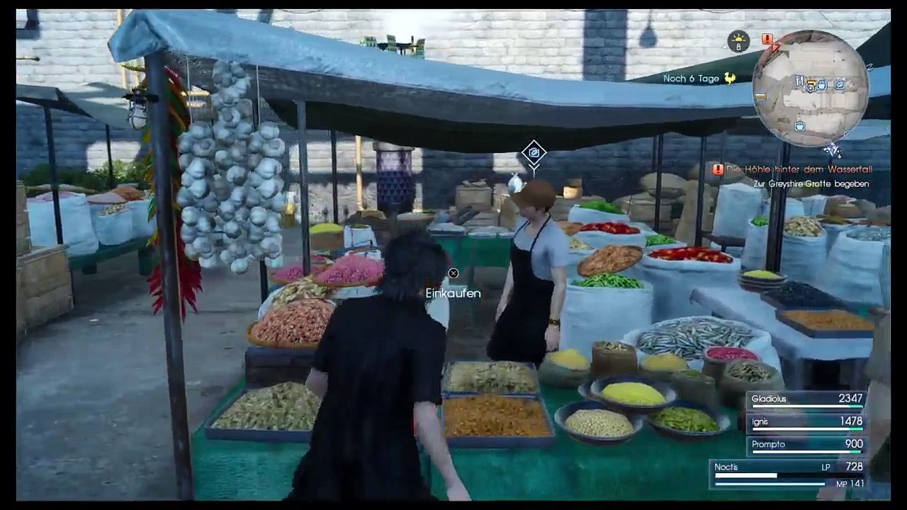 FF 15 (13)