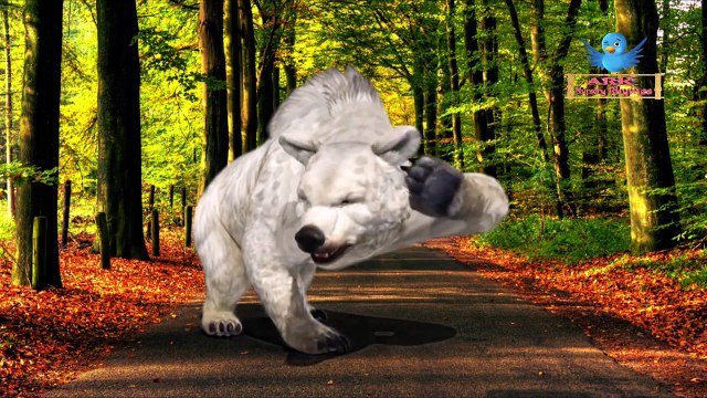 Finger Family Song | White Bear Finger Family Nursery Rhymes | Animals Cartoons Animation in 3D