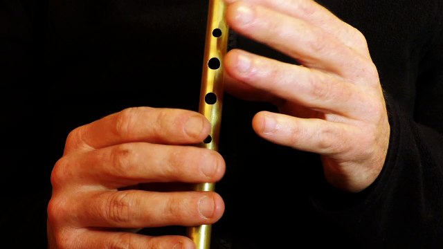 Musique irlandaise à la flûte - Paistin Fionn - Tradschool