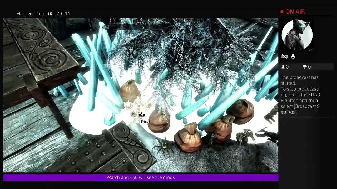 Skyrim with mods lol (36)