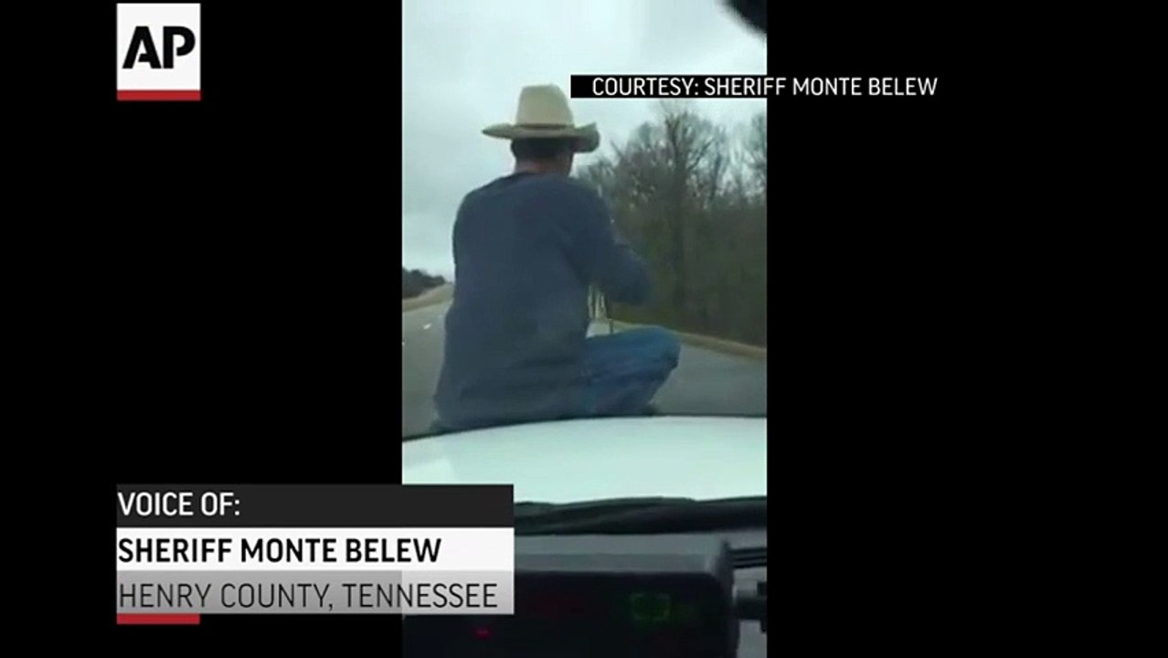 Tenn. Man Ropes Calf from Hood of Cop Car