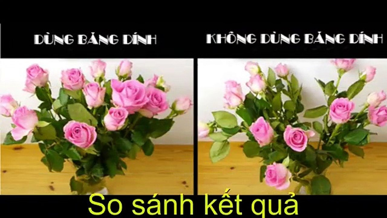 Hướng dẫn cắm hoa đơn giản nhất