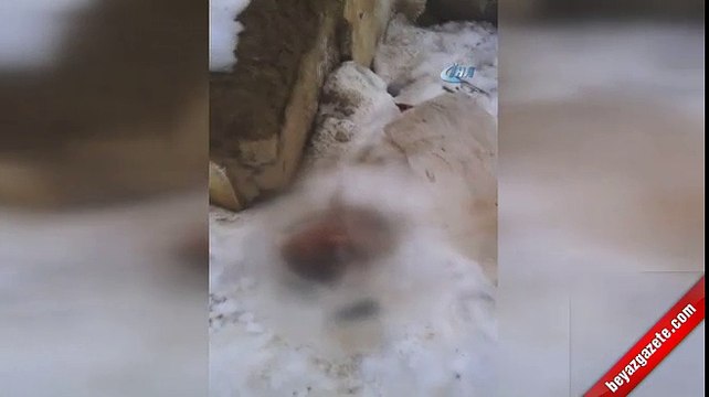 Başkent'te çöp poşetine sarılı yeni doğmuş bebek cesedi bulundu