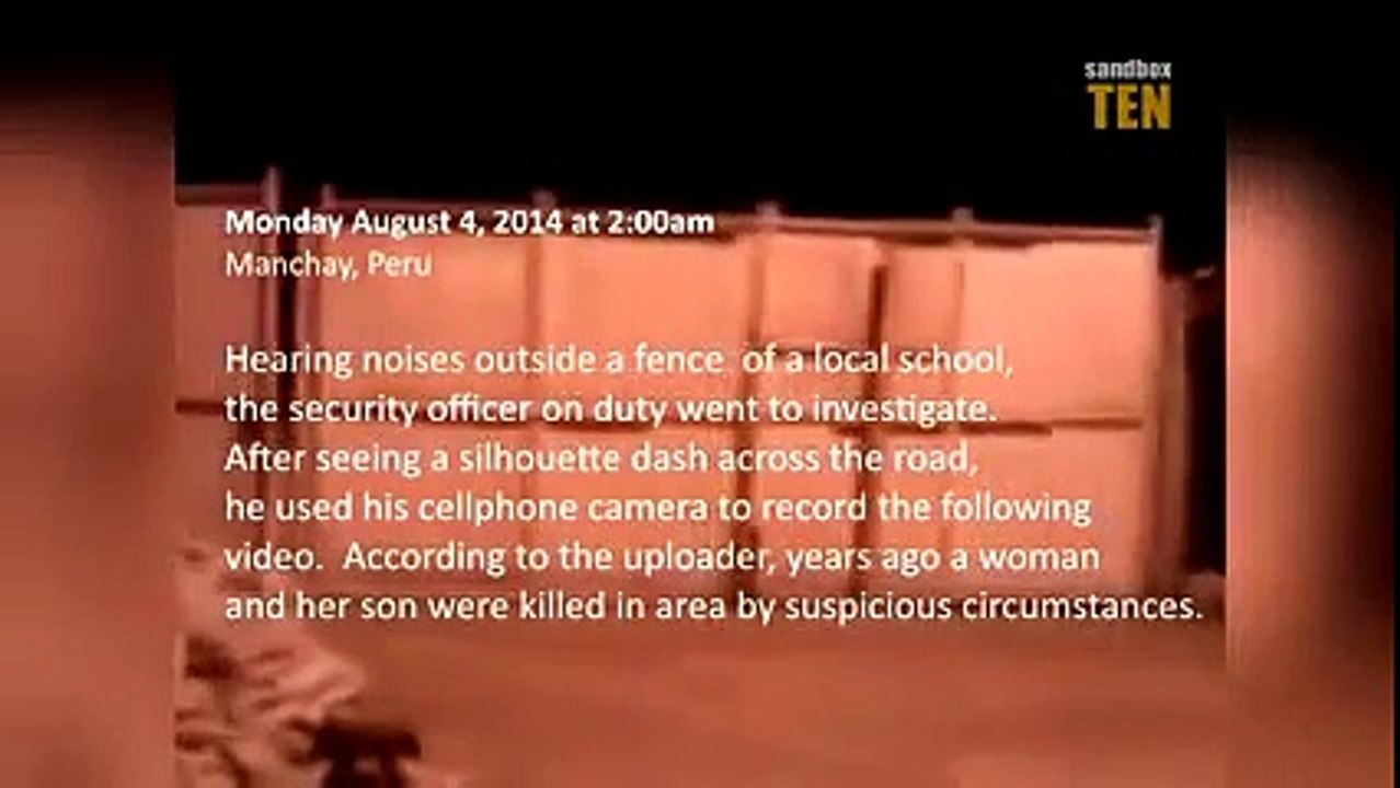 Strange Creature Caught on Tape. Real video