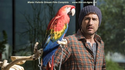 Mister Felicità Film Completo in Italiano Gratis