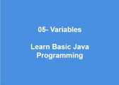 05 - Variables Learn Best Basic Java Programming