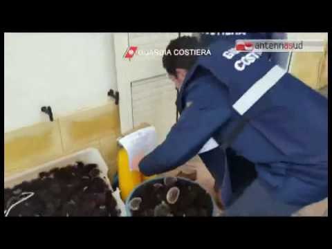 TGSRVgen05 porto cesareo sequestro ricci