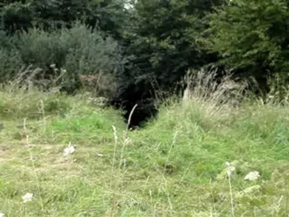MOV01205
