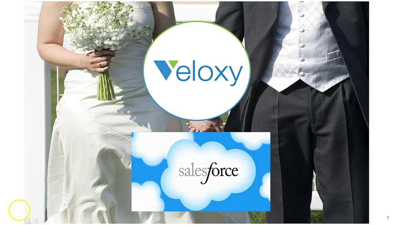 Veloxy - A Predictive Sales Intelligence Platform for Salesforce