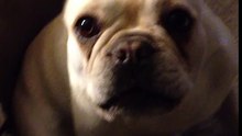 Bruley conta à mãe como foi o seu dia