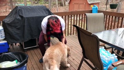 I MISSED YOU SO MUCH!!-tin0kVRUcfc