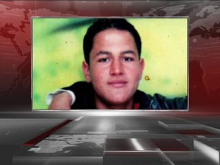 ভিন্ন পরিচয় নিয়ে জার্মানিতে অবস্থান করছিলেন হামলাকারী আনিস