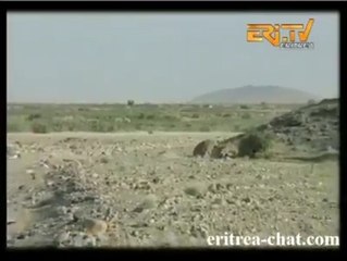 ምድረ ኣግኣዝያን ዝብሃል ኣይነበረን ክብሉ'ዶ ሰሚዐ ሓቀይ ህግደፍ ድኣ ካበይ ቦንቂሮም ኣምጺኤሞ!!