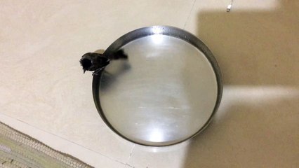 trim.CE84014A-3096-4777-B94C-C2D7EDD40765