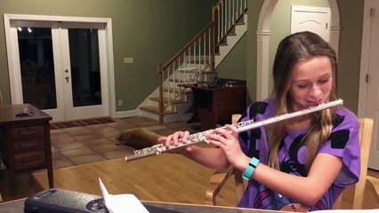Dog Has Hilarious Reaction To Girls Flute Practice