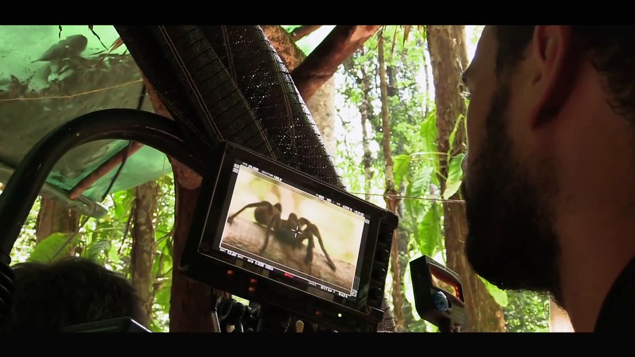 Guyane - Entre Fiction et Réalité - Episode 3  Casting Sauvage - CANAL+ [HD] [Full HD,1920x1080p]