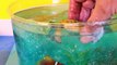 DIY SHARK Toys Slime Aquarium Fish Tank - Toy Sharks, Sea Animals, Toys and Sli