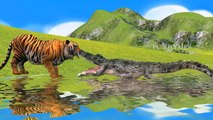 Tiger Vs Crocodile Cartoons Singing Finger Family Children Nursery Rhymes For Kids And Babies