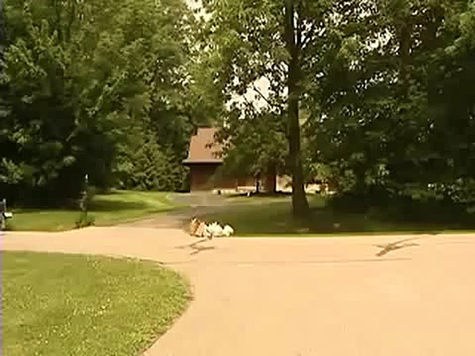 Fox news accurately recreates a bear encounter.[1]