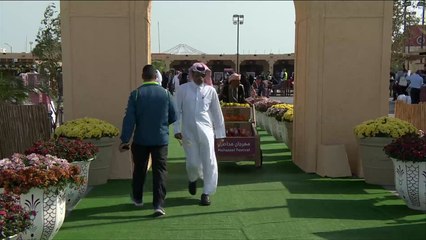 هذا الصباح - مهرجان محاصيل بالدوحة.. طموح لتحقيق الاكتفاء