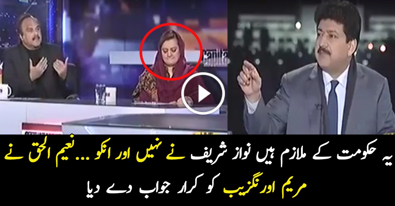 They Are The Servants Of This Government. Not The Personal Servants Of Nawaz Sharif. Says Naeem Ul Haq.