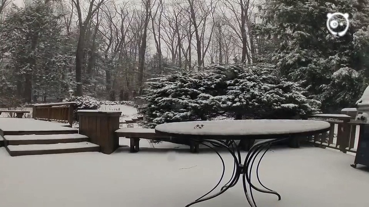 Kar yağışının hızlandırılmış görüntüsü