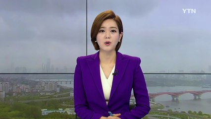 늙은 닭 수만 마리 무단 판매하다 덜미 / YTN (Yes! Top News)