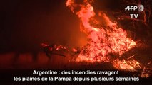 Argentine: près d'un million d'hectares de pampa partis en fumée