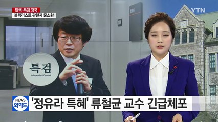 '정유라 특혜' 류철균 교수 긴급체포...'첫 구속' 문형표 前 장관 특검 소환 / YTN (Yes! Top News)