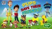 Paw Patrol Full Episodes - Paw Patrol Pups Save Their Friends - Nickelodeon Cartoon Games New HD